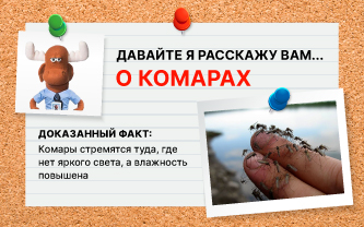 Где живут комары Где живут комары