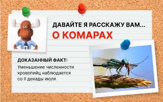 Когда исчезают комары? Когда исчезают комары?