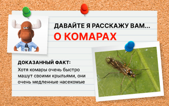 И мы не шутим! И мы не шутим!